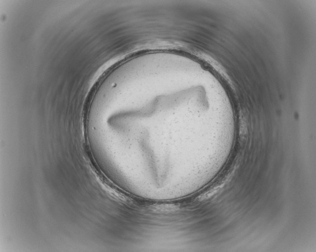 X0000070400837200607072242