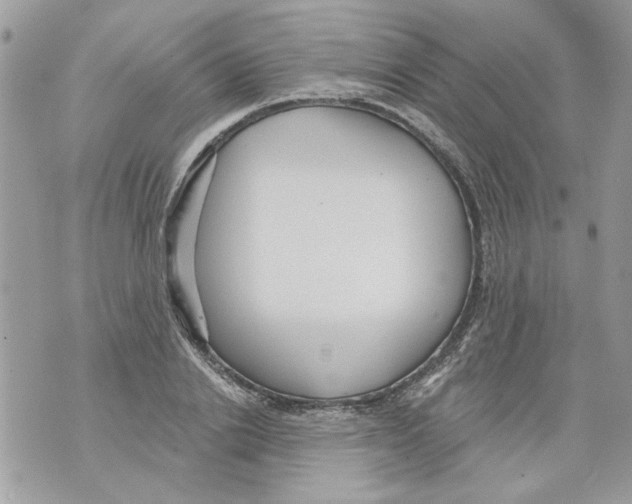 X0000070400838200607072242