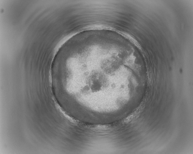 X0000070400839200607072242