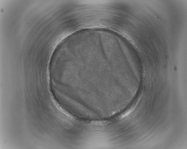 X0000070400840200607072242