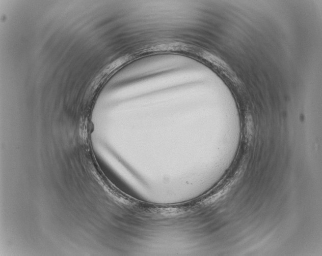 X0000070400841200607072242