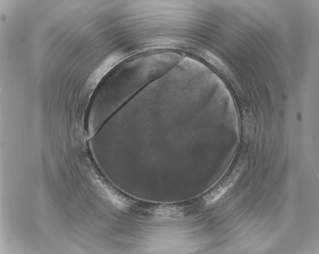 X0000070400842200607072242