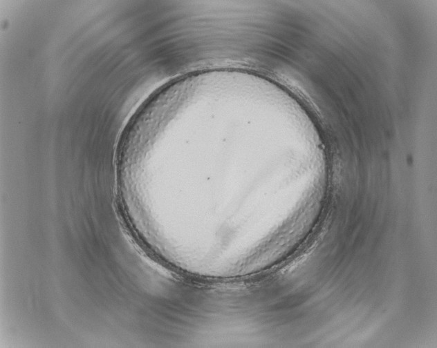 X0000070400844200607072242