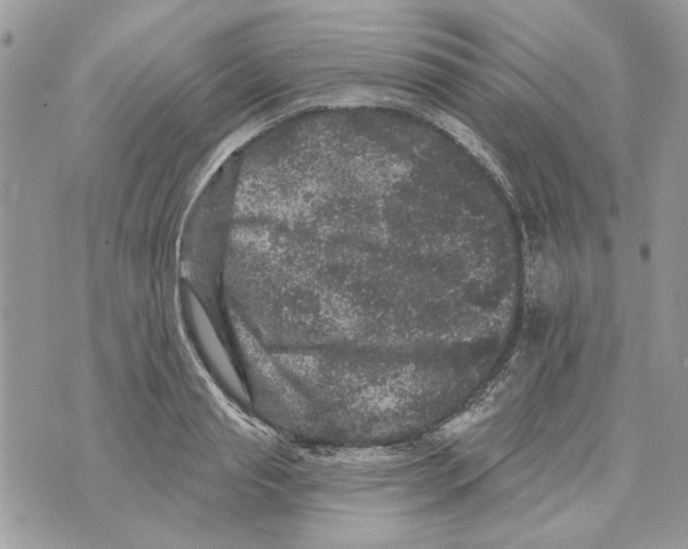 X0000070400845200607072242