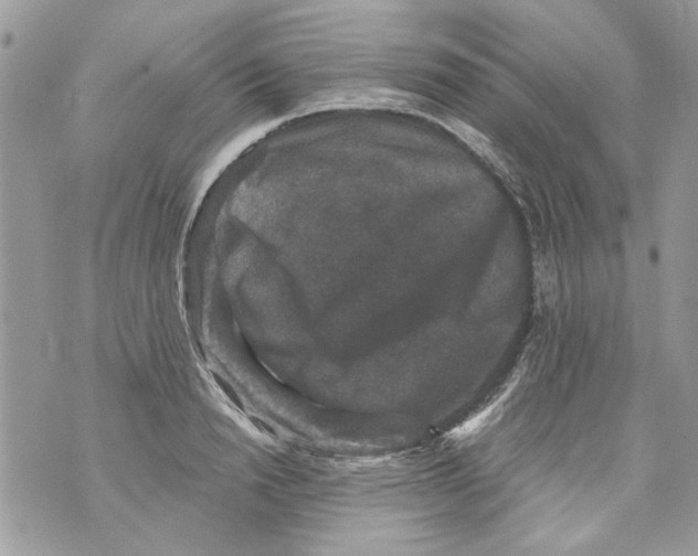 X0000070400846200607072242