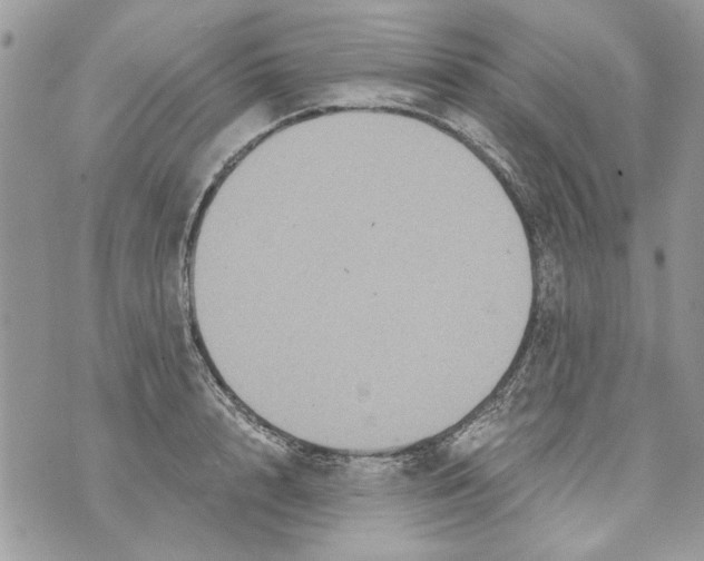 X0000070400848200607072242