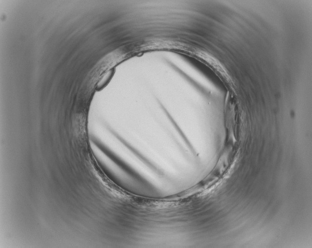 X0000070400849200607072242