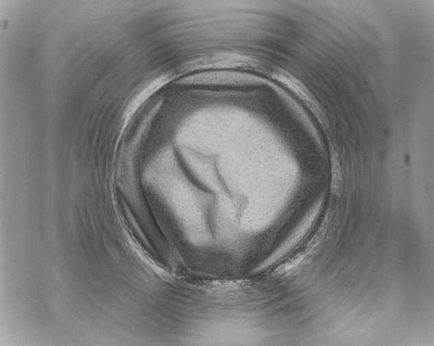 X0000070400850200607072242