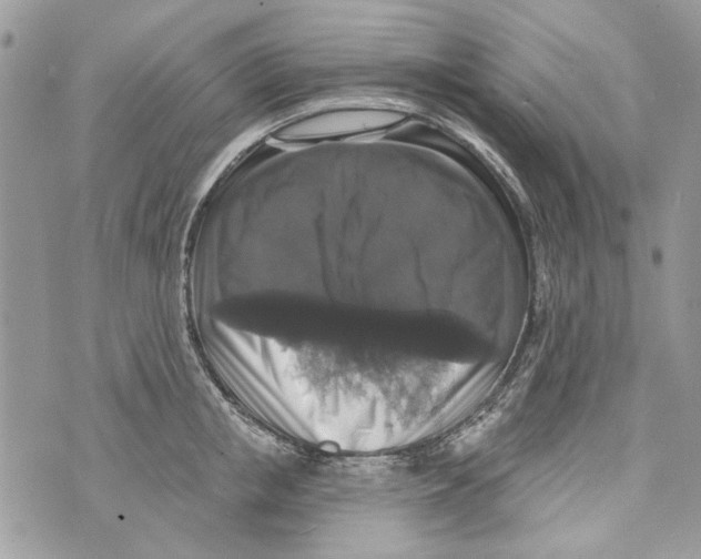 X0000070400853200607072242