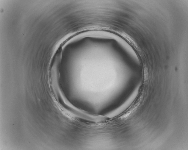 X0000070400854200607072242