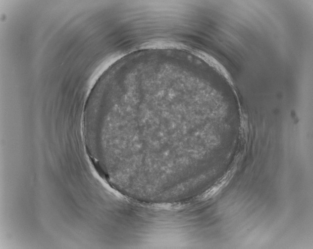 X0000070400855200607072242