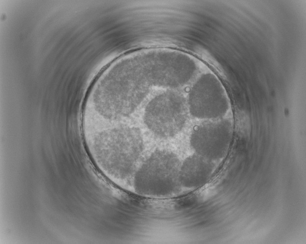 X0000070400856200607072242