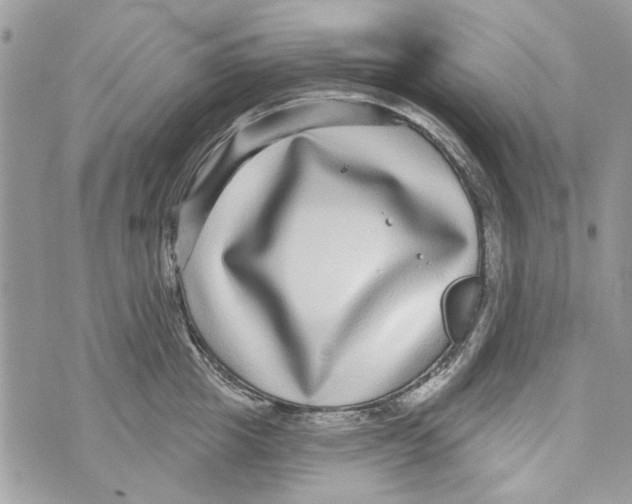 X0000070400857200607072242