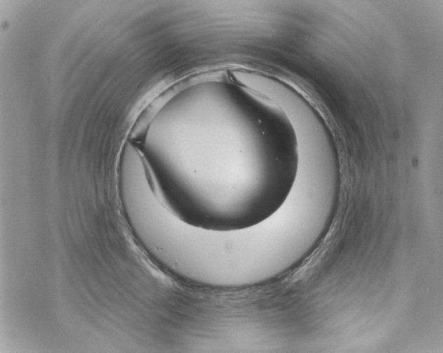 X0000070400858200607072242