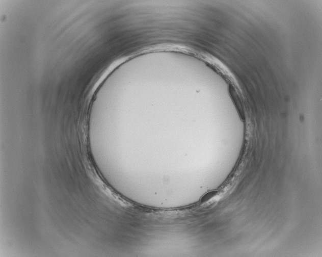 X0000070400860200607072242