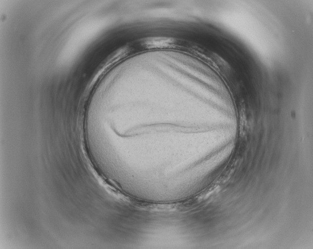 X0000070400861200607072242