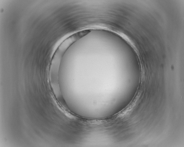 X0000070400862200607072242