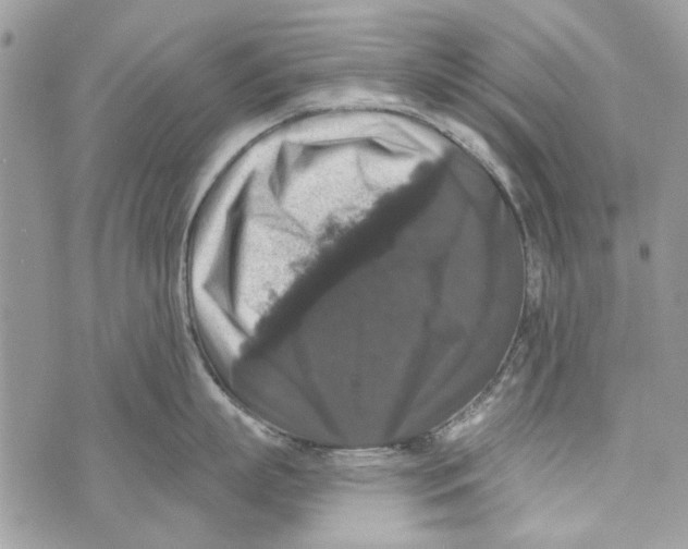 X0000070400863200607072242