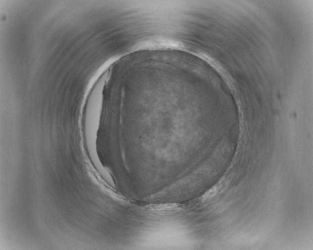 X0000070400864200607072242