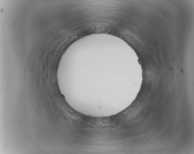 X0000070400865200607072242