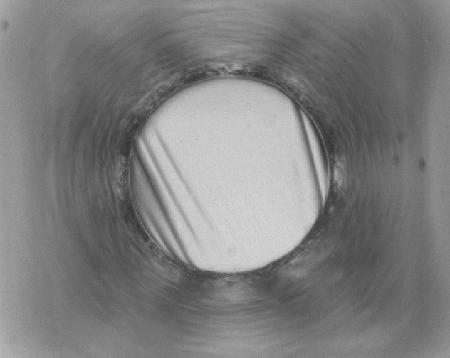 X0000070400867200607072242