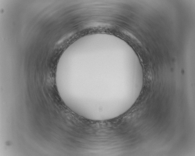 X0000070400869200607072242