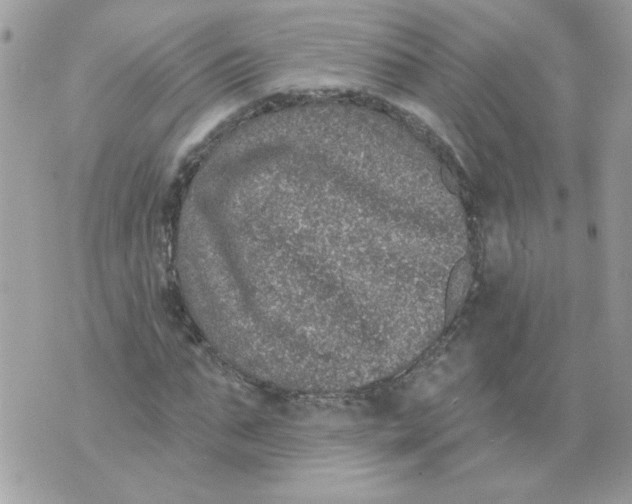 X0000070400871200607072241