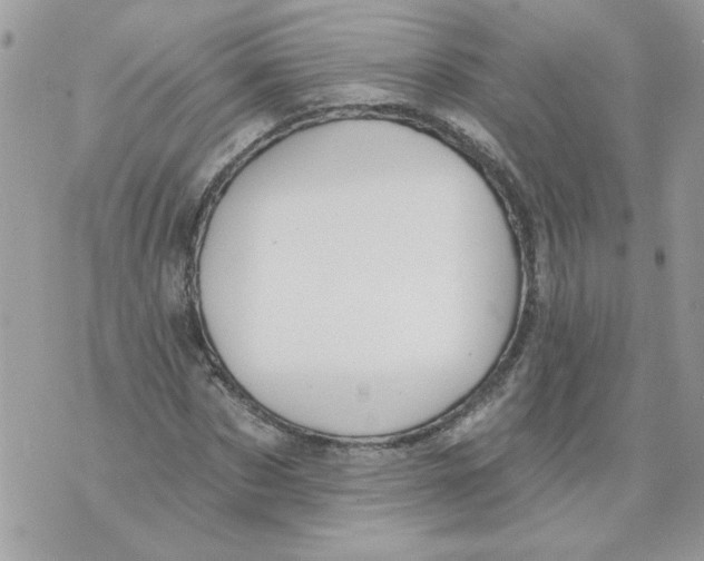 X0000070400873200607072241