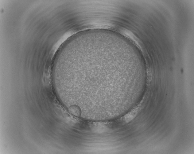 X0000070400875200607072241