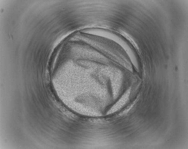 X0000070400876200607072241