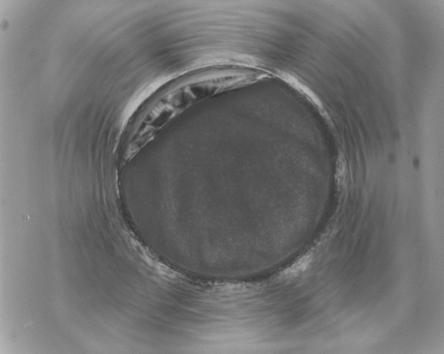 X0000070400877200607072241