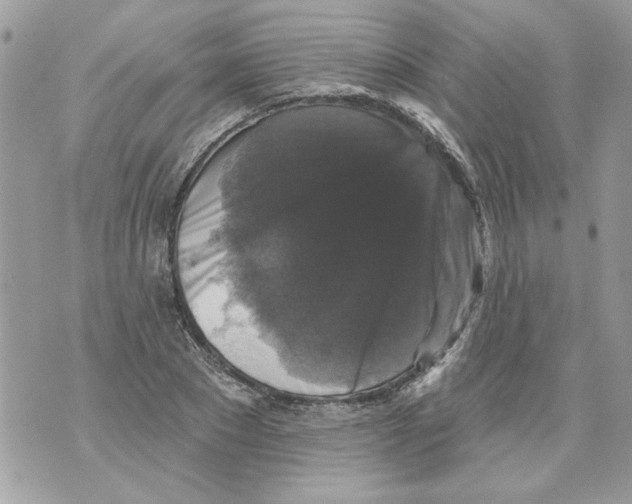 X0000070400881200607072241