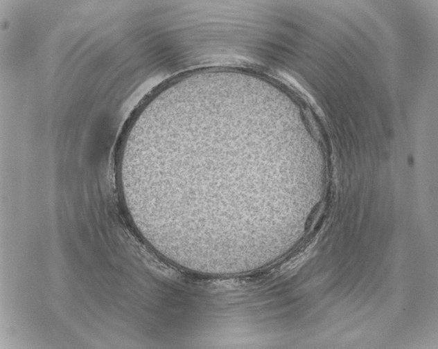 X0000070400883200607072241