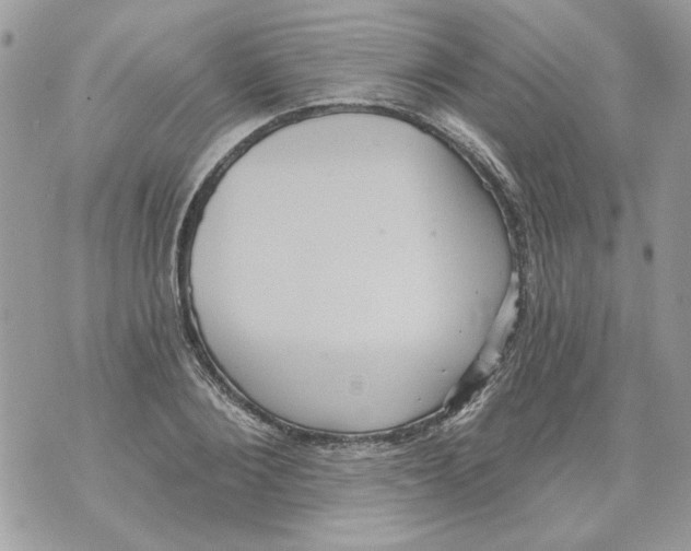 X0000070400884200607072241