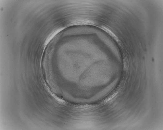 X0000070400885200607072241