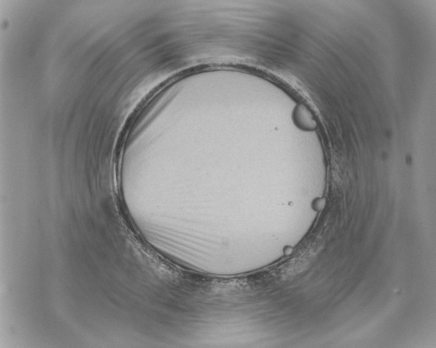 X0000070400887200607072241