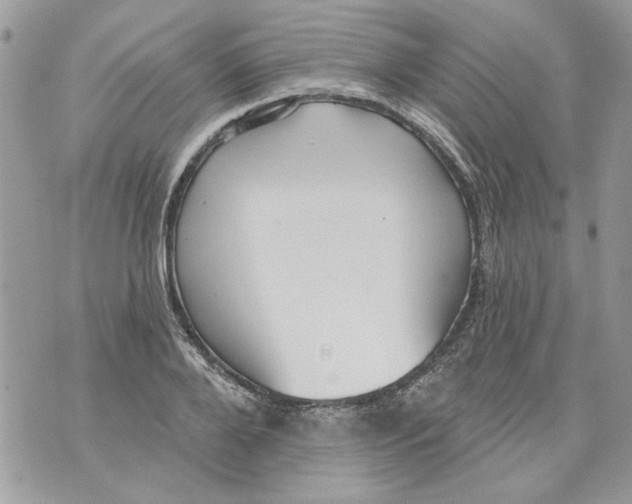 X0000070400888200607072241