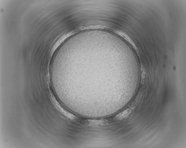 X0000070400890200607072241