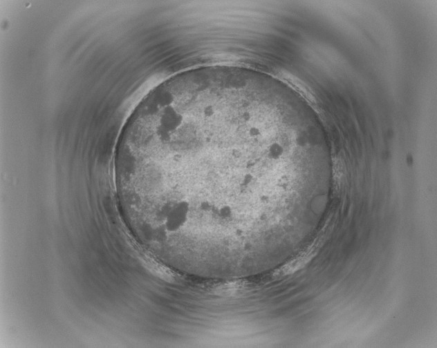 X0000070400891200607072241