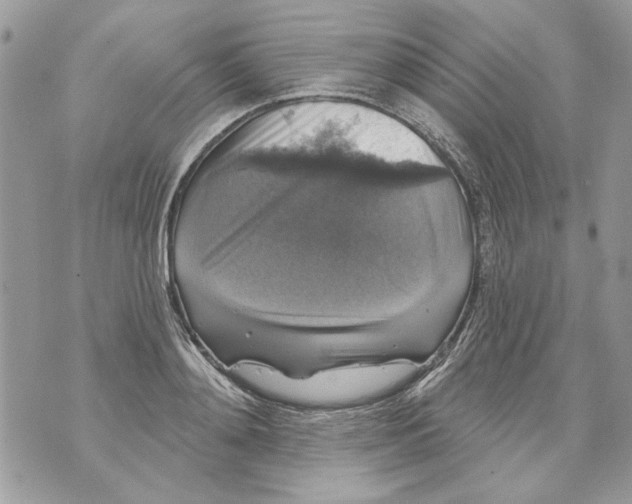 X0000070400892200607072241