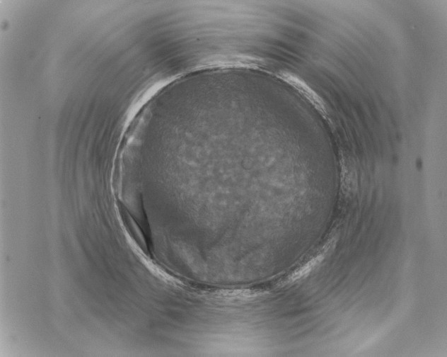 X0000070400893200607072241