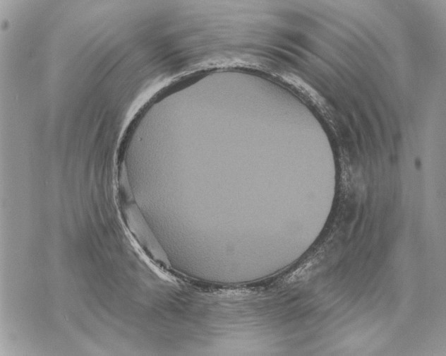 X0000070400894200607072241