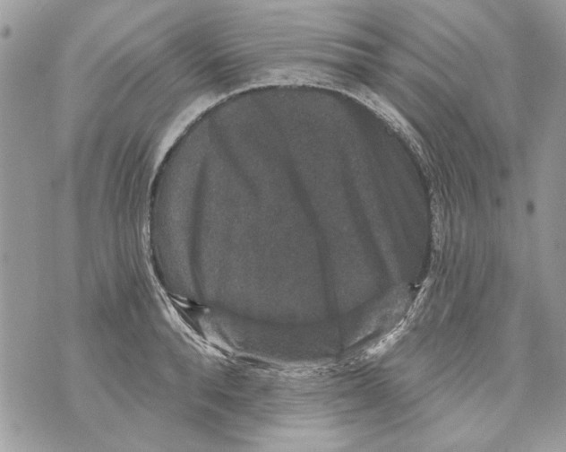 X0000070400896200607072241