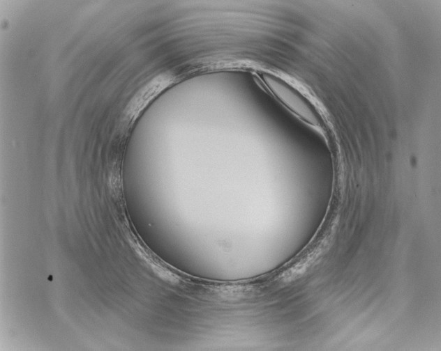 X0000070400897200607072241