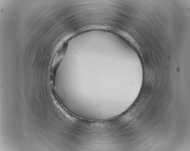 X0000070400898200607072241