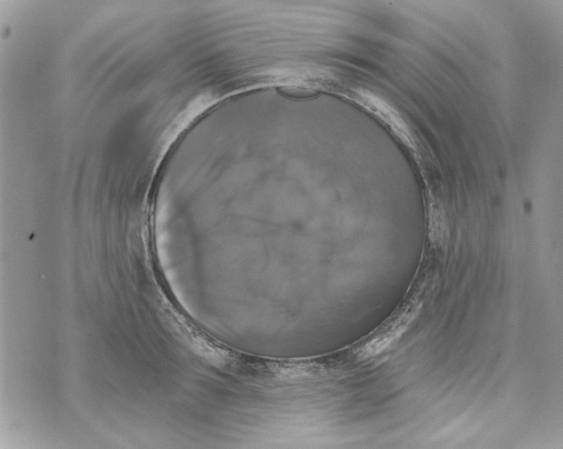 X0000070400899200607072241