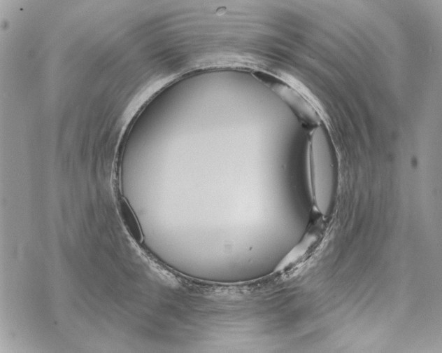 X0000070400901200607072241