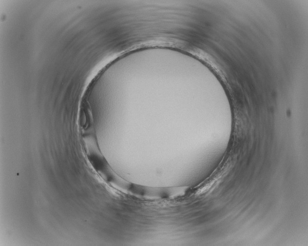 X0000070400902200607072241