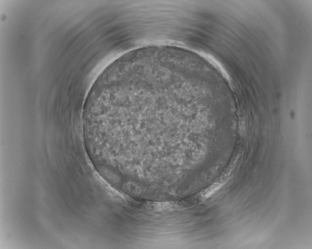 X0000070400903200607072241