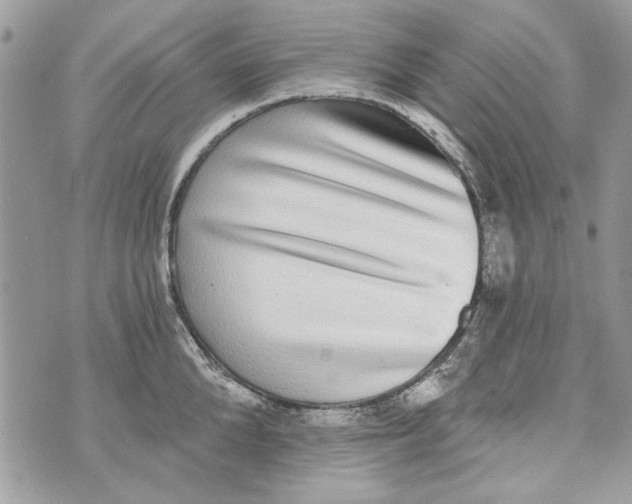 X0000070400904200607072241